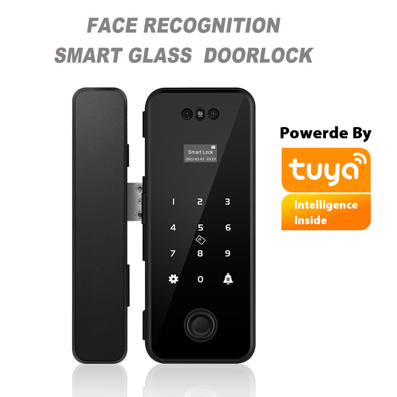 Serrure de porte en verre Frameless d'ABS de Tuya Smart de serrure d'empreinte digitale en aluminium de reconnaissance des visages