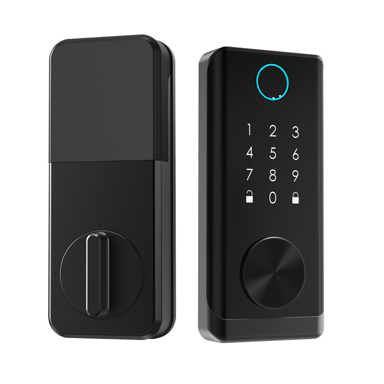 Serrure de porte intelligente d'empreinte digitale de Tuya en alliage de zinc pour la sécurité à la maison