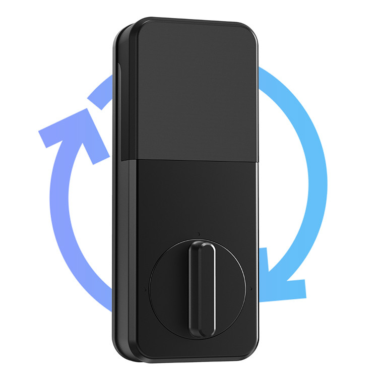 Serrure de porte intelligente d'empreinte digitale de Tuya en alliage de zinc pour la sécurité à la maison