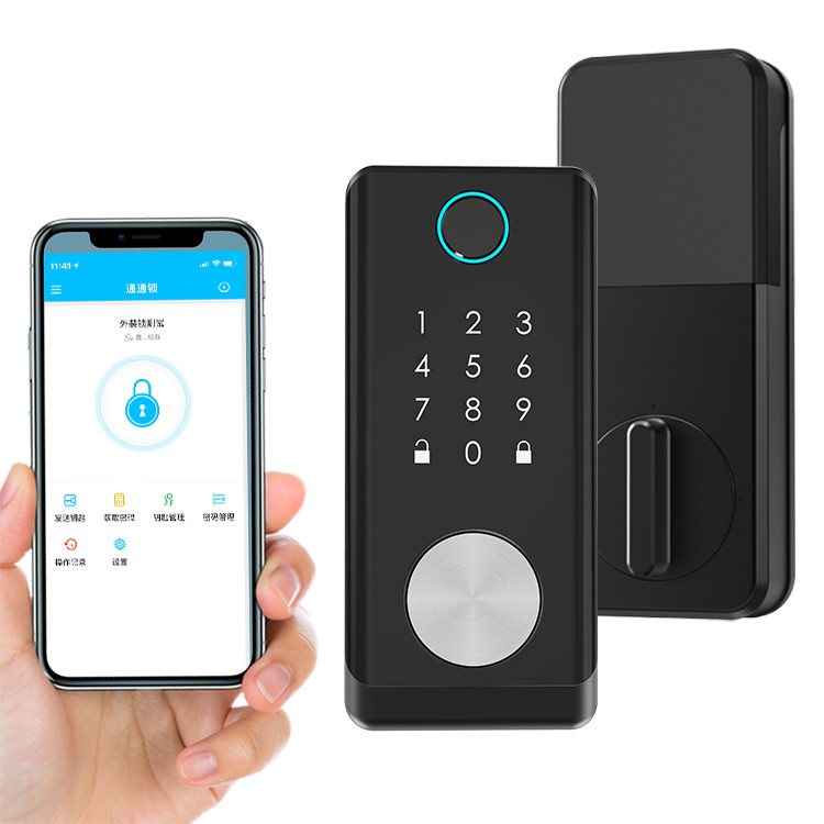 Serrure de porte intelligente d'empreinte digitale de Tuya en alliage de zinc pour la sécurité à la maison
