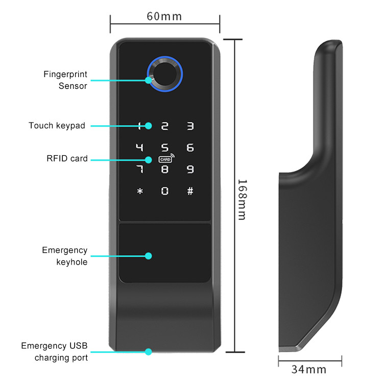 Le double biométrique de Smart de serrure de porte d'empreinte digitale de Wifi d'appli de Digital a dégrossi